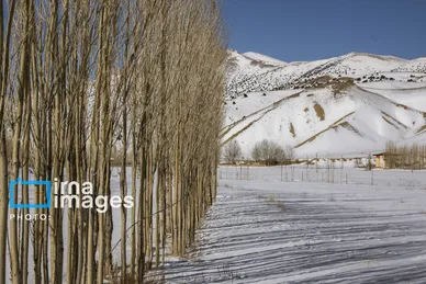گزارش تصویری | سایه سفید
