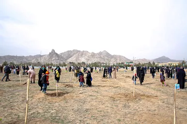 پویش سراسری درخت‌کاری