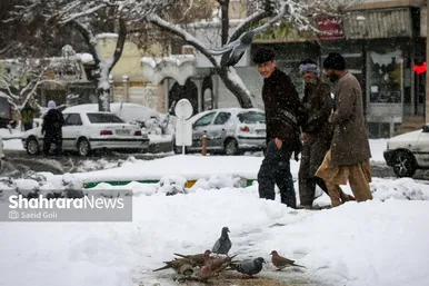 گزارش تصویری | بارش برف در مشهد