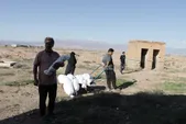 دو روایت صدثانیه‌ای از مظلومیت مردم فلسطین در قاب تصویر