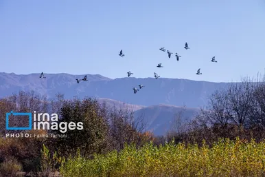 ایران زیباست | طبیعت پاییزی الشتر