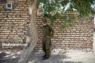 ساعاتی در مهمانشهر تربت جام
