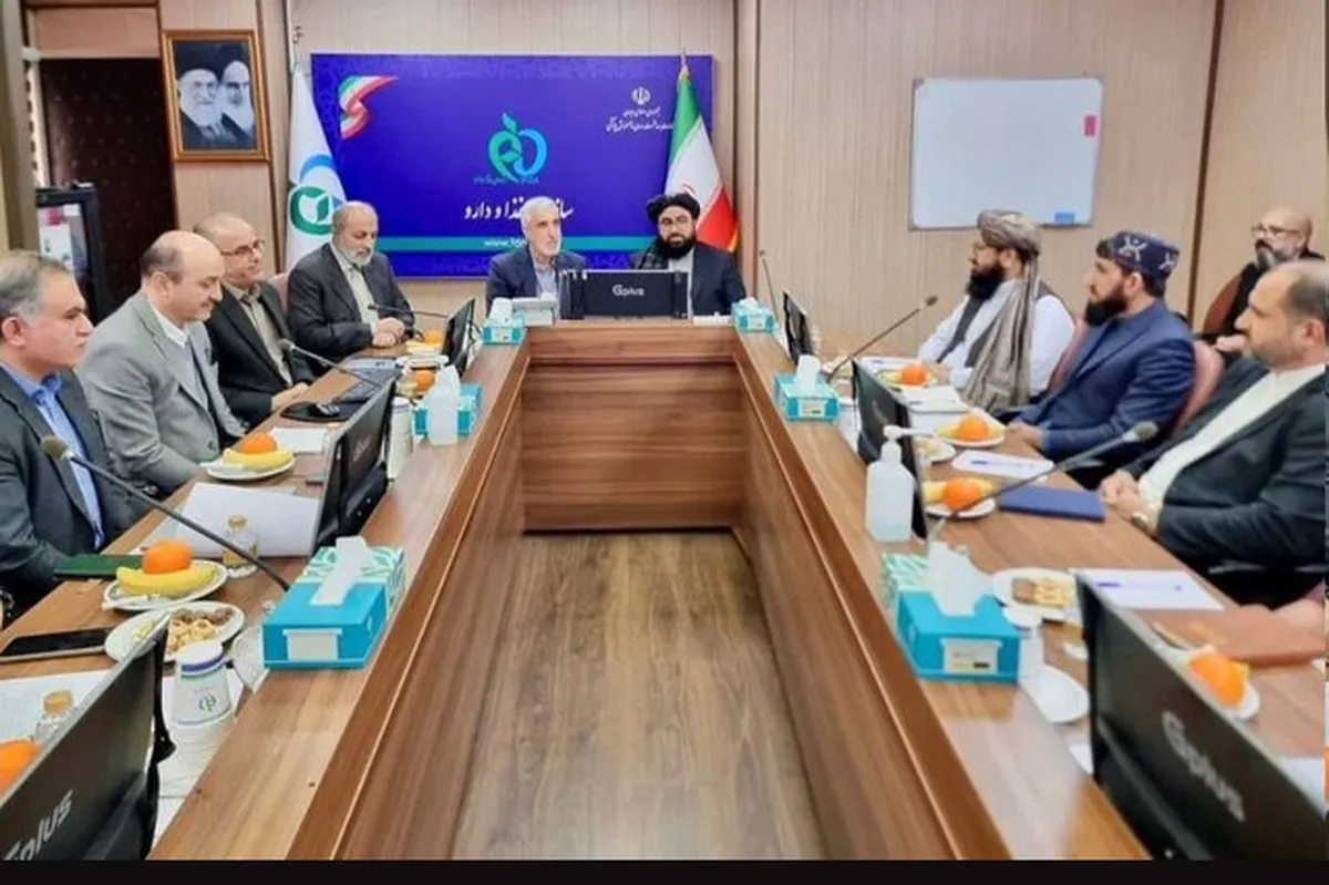 مسئولان وزارت بهداشت ایران و صحت عامه افغانستان افزایش همکاری­‌های دارویی را بررسی کردند