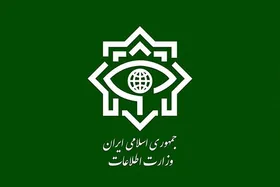 بیانیه&zwnj; مهم وزارت اطلاعات درباره کشفیات و دستگیری&zwnj;های اغتشاشات اخیر | از خرابکاری در هواپیماهای مسافربری تا اقدام به بمب&zwnj;گذاری در میدان شهدای مشهد