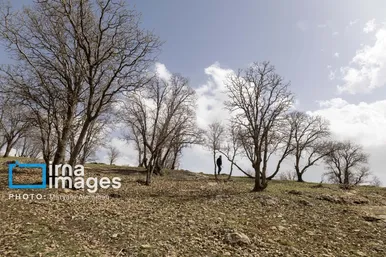 گزارش تصویری | در جست‌وجوی خلبان آمریکایی