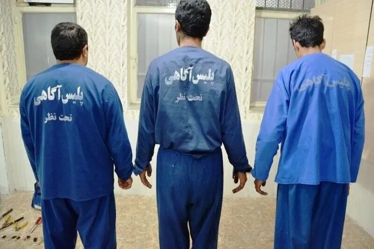 سارقان سیم و کابل برق در سبزوار دستگیر شدند