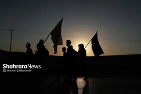 زائران پیاده حرم امام رضا (ع)