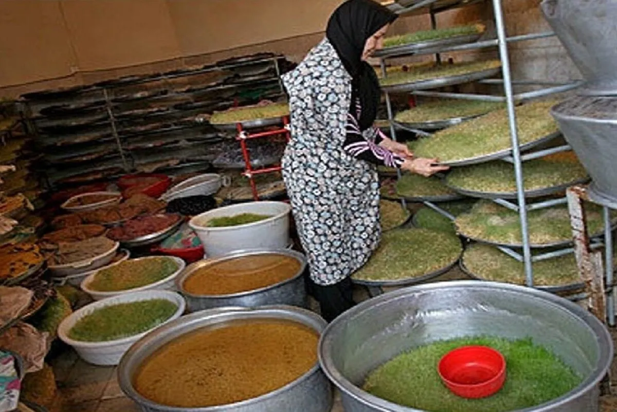 کمک به اقتصاد دولتی از طریق اقتصاد خانواده‌محور