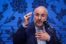 رئیس مجلس: بدون شفافیت به کارآمدی نمی&zwnj;رسیم