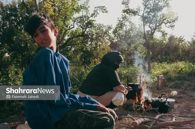 گزارش تصویری | برداشت گلابی از باغات چناران