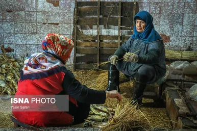 عکس‌هایی از ماهی‌های دودخانه - بندر انزلی