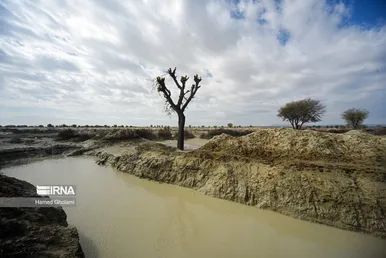 سیلاب در سیستان و بلوچستان