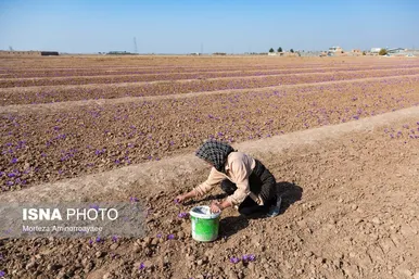 ایران زیباست | طلای سرخ نیشابور