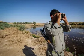 لایحه نحوه استفاده از سلاح برای محیط&zwnj;بانان منتظر تصویب نهایی در صحن مجلس است