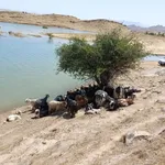 دردسر تازه از سد گتوند | روستاهای حاشيه سد به زیر آب رفت + تصاویر و فیلم