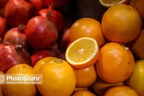 مکان&zwnj;های عرضه میوه شب عید در مشهد اعلام شد