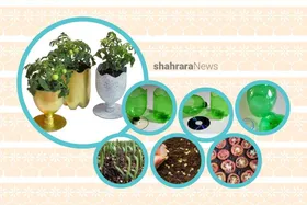 آموزش کاردستی | گوجه&zwnj;فرنگی بکاریم!