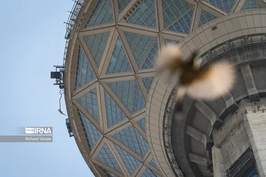 افتتاح بلندترین سکوی بانجی جامپینگ دنیا