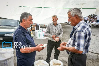 ایران زیباست | برنجِ خوش عطر گیلان