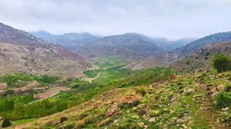 شهروند خبرنگار| طبیعت جنگل ارس سیستان، هزار مسجد در استان خراسان رضوی