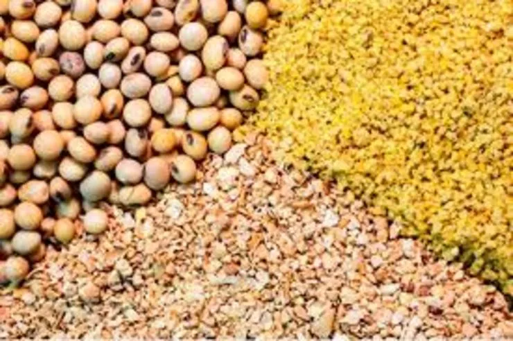دولت وعده تأمین نهاده را به تولیدکنندگان داد
