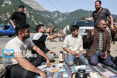 گزارش تصویری | «جاده چالوس» گذرگاه بهاری عشایر