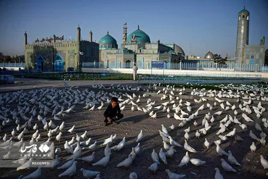 زیارت سخی در شهر مزارِ شریف افغانستان