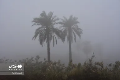 مه در آبادان (۱۹ آذر ۱۴۰۲)