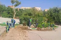 ارتقای روشنایی و افزایش ایمنی در بوستان شهربانو حجاب