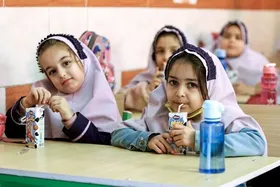 اعتبار شیر مدارس در سال جاری افزایش یافت | شیوع ۲۵ درصدی اضافه وزن و چاقی در دانش آموزان