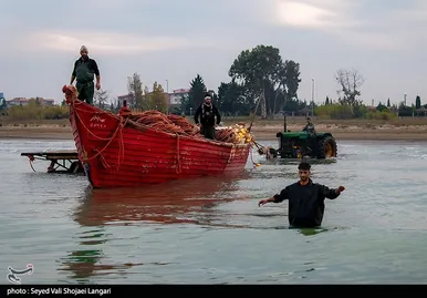 صید ماهی استخوانی - مازندران