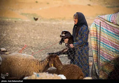 عبور عشایر از خرم آباد