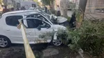 برخورد وحشتناک ۲۰۷ با درخت در خیابان اخوان ثالث مشهد ۵ نفر را راهی بیمارستان کرد+ عکس