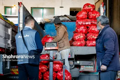 گزارش تصویری | بازدید رئیس کمیسیون اصل ۹۰ از میدان‌بار سپاد مشهد (۲۴ بهمن ۱۴۰۳)