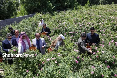گزارش تصویری | جشن گل‌های محمدی روستای فرخد خراسان رضوی