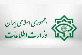 ورود وزارت اطلاعات به بازار سودجویان ارز | ۲۳۰۰ حساب بانکی شناسایی و مسدود شد
