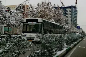 شهروند خبرنگار | نمایی از اولین برف پاییزی مشهد در آذرماه ۱۴۰۱
