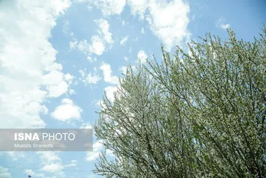ایران زیباست | طبیعت بهاری روستاهای اطراف ساری