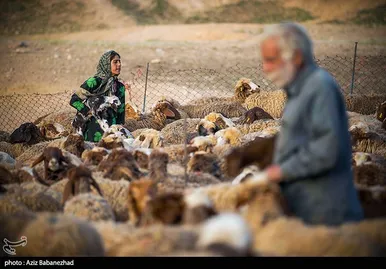 عبور عشایر از خرم آباد