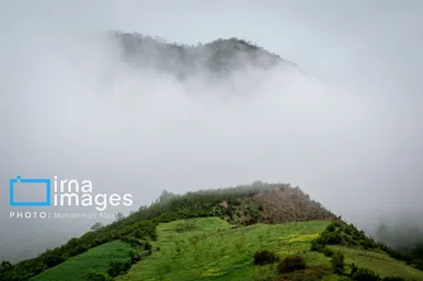 ایران زیباست | بهارِ گلستان