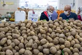 محموله سیب زمینی تنظیم بازار در راه مشهد | یک لقمه ۴۰ گرمی، سهم هر مشهدی!