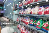 مجوز صادرات مرغ منجر به گرانی دوباره گوشت مرغ می‌شود؟