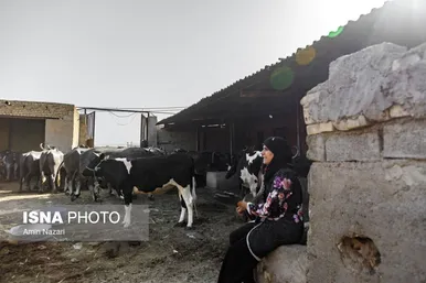 منطقه گاومیش آباد در اهواز