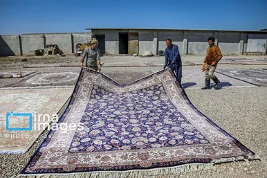 عکس‌هایی از یک کارگاه قالیشویی در آستانه نوروز