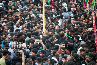 محرم ۱۴۰۴ | عکس‌هایی از آیین سنتی «عَلَم پیغمبر» در میناب