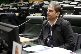 قاضی&zwnj;زاده هاشمی: کمیسیون صنایع در تعامل با دولت خواستار رفع مشکلات ارزی است