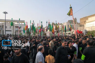 محرم ۱۴۰۴ | عکس‌هایی از آیین سنتی «عَلَم پیغمبر» در میناب