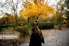 &laquo;زنان خانه&zwnj;دار&raquo; نیازمند حمایت قانونی کارآمد هستند