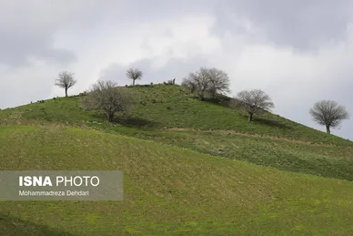 ایران زیباست | زمستان بَهاری در فارس