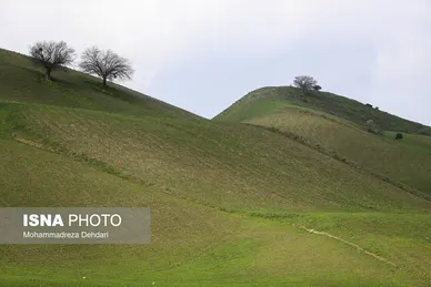 ایران زیباست | زمستان بَهاری در فارس